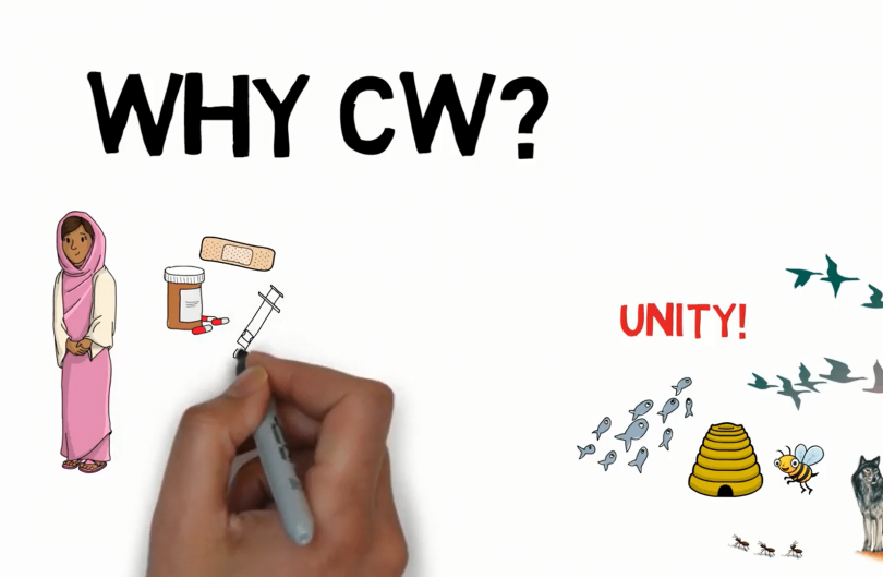 WhyCWScreenshot